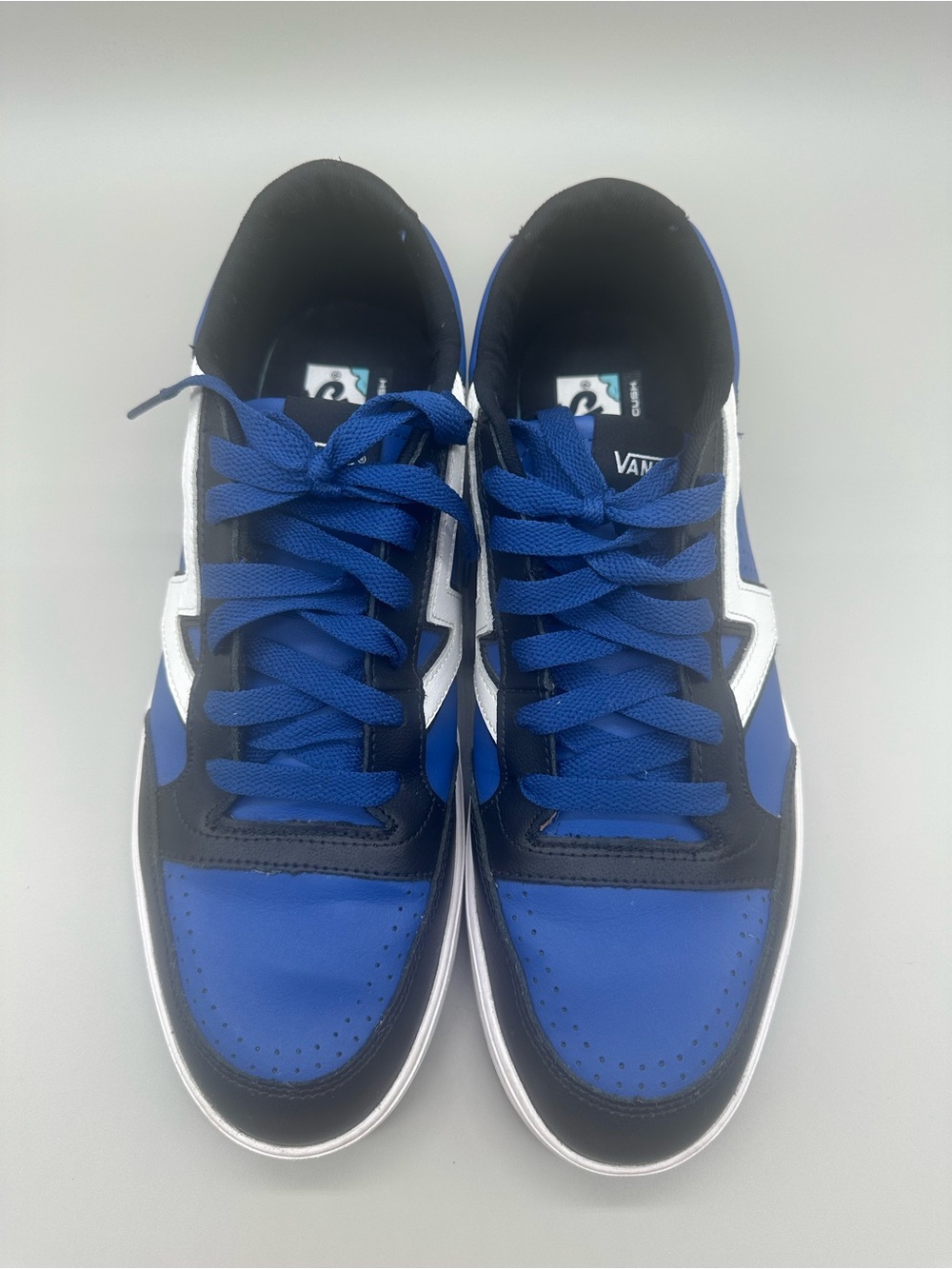 Vans Men’s Lowland CC Two Tone Black and True Blue